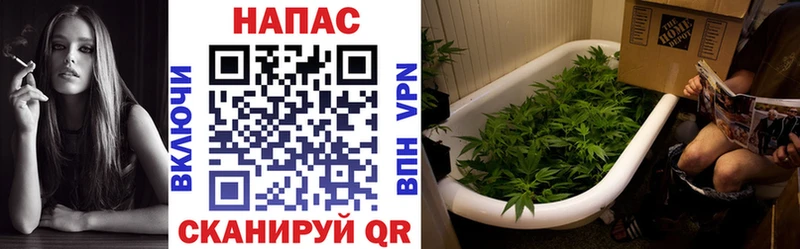 Наркота Пионерский МАРИХУАНА  МЕФ  АМФЕТАМИН  ГАШИШ 