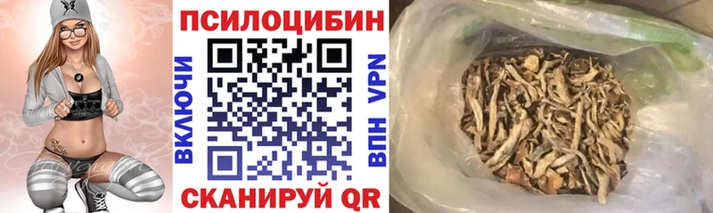 Галлюциногенные грибы мицелий  Пионерский 